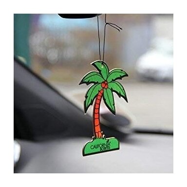 California Scents Hang Out Palms pakabinami gaivikliai