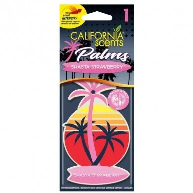 California Scents Hang Out Palms pakabinami gaivikliai 3
